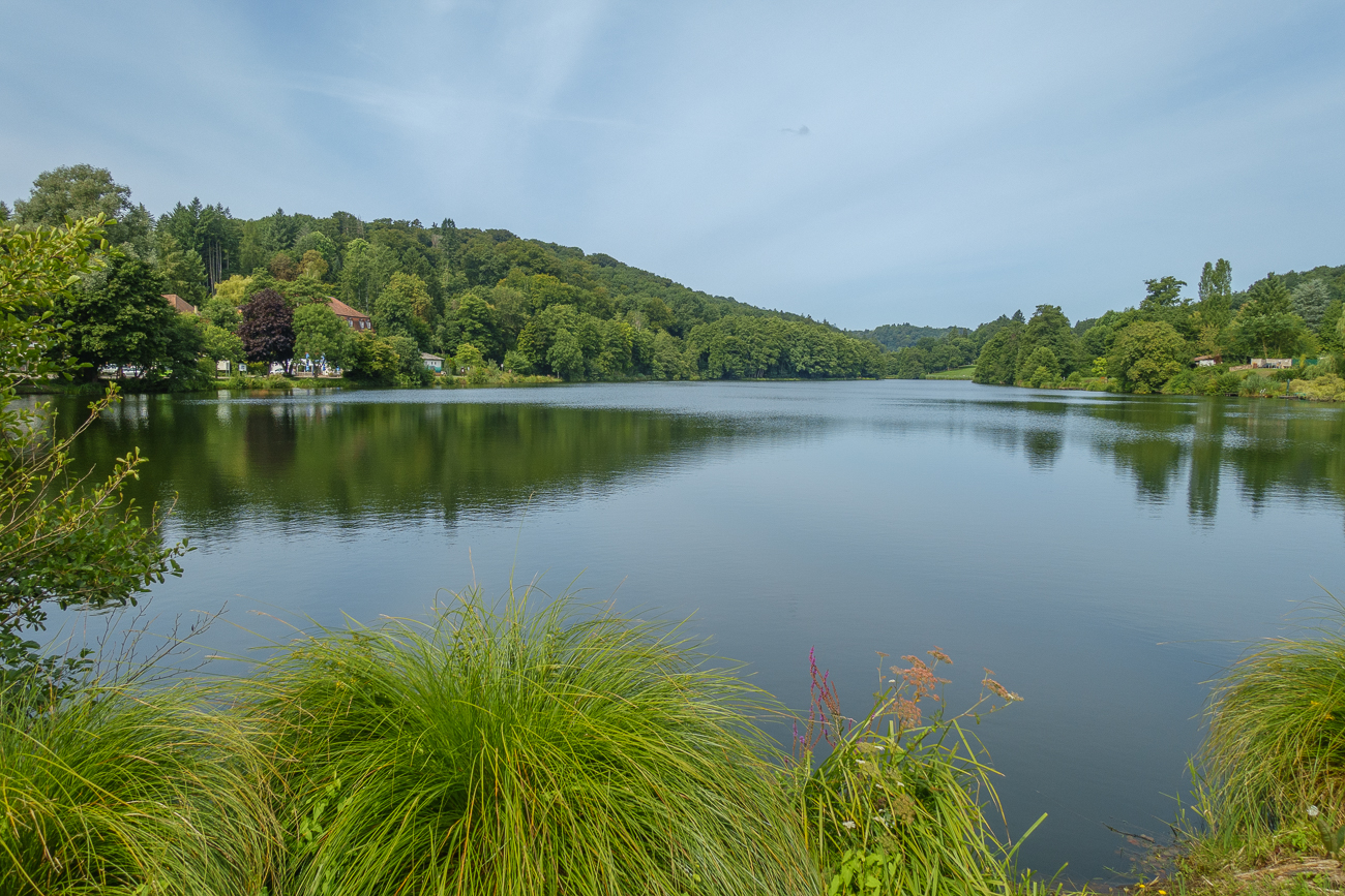 Am Niederwürzbacher Weiher