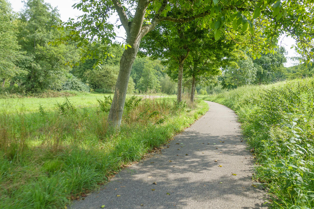 Schöner Radweg nahe Lautzkirchen