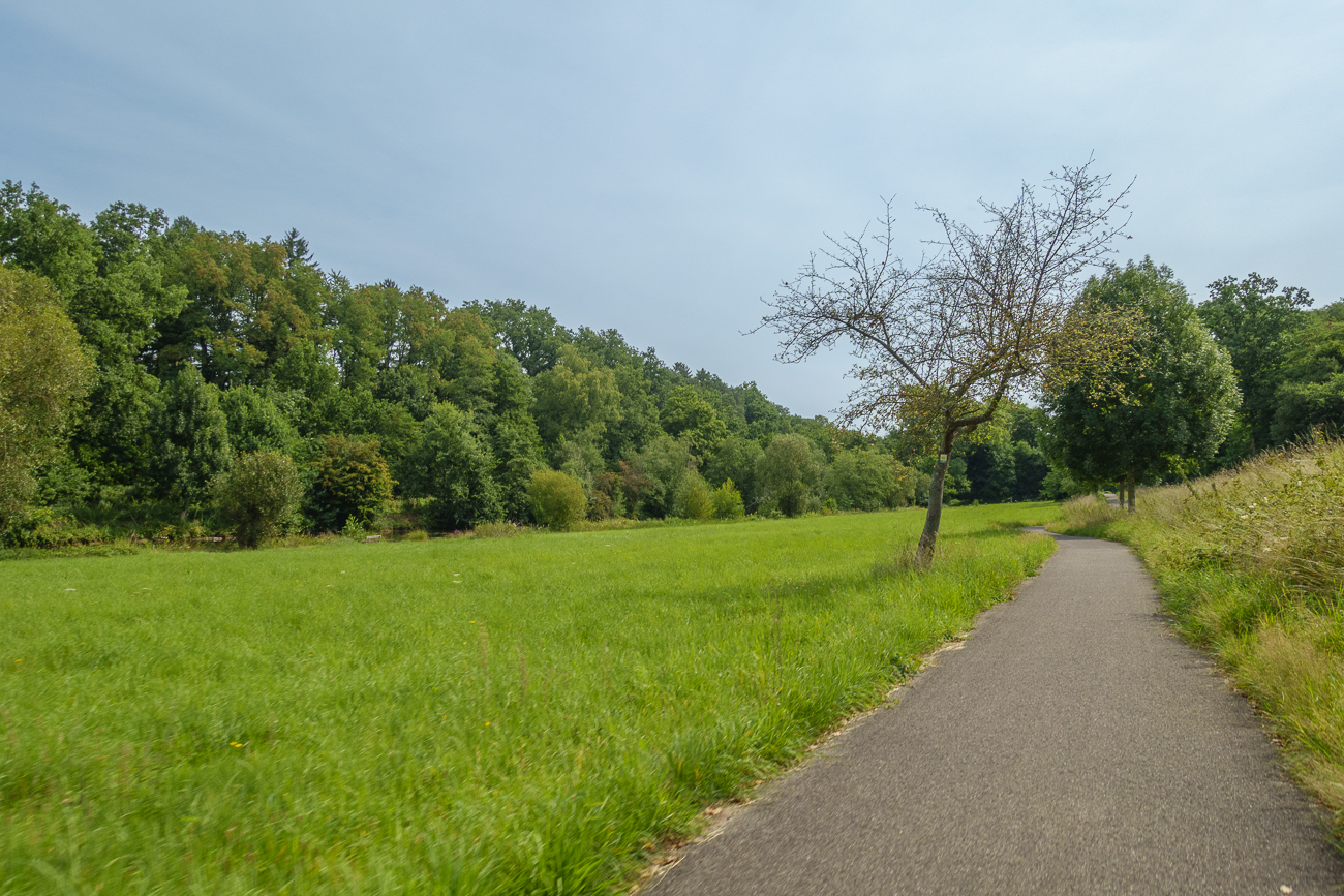 Schöner Radweg nahe Lautzkirchen