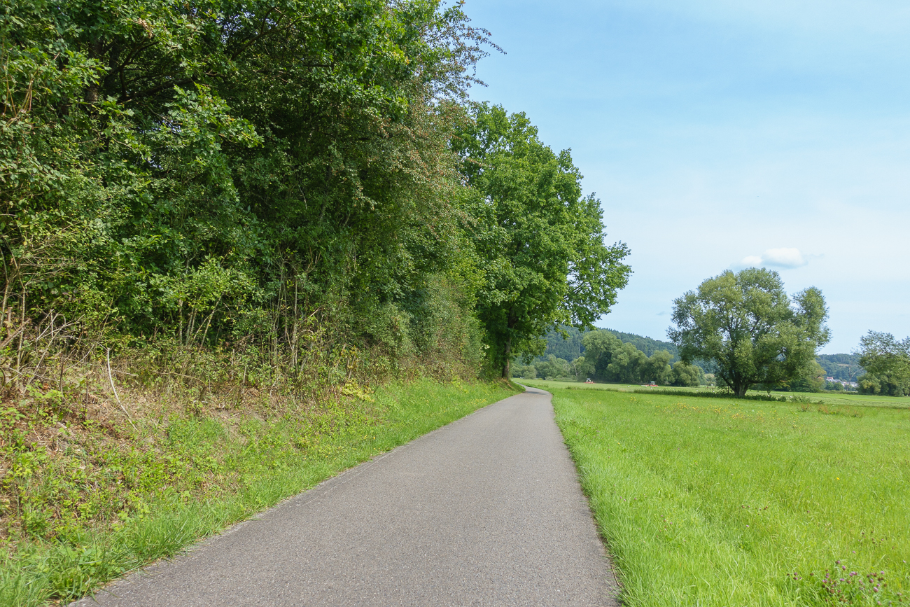 Im Bliestal wird Heu geerntet ...
