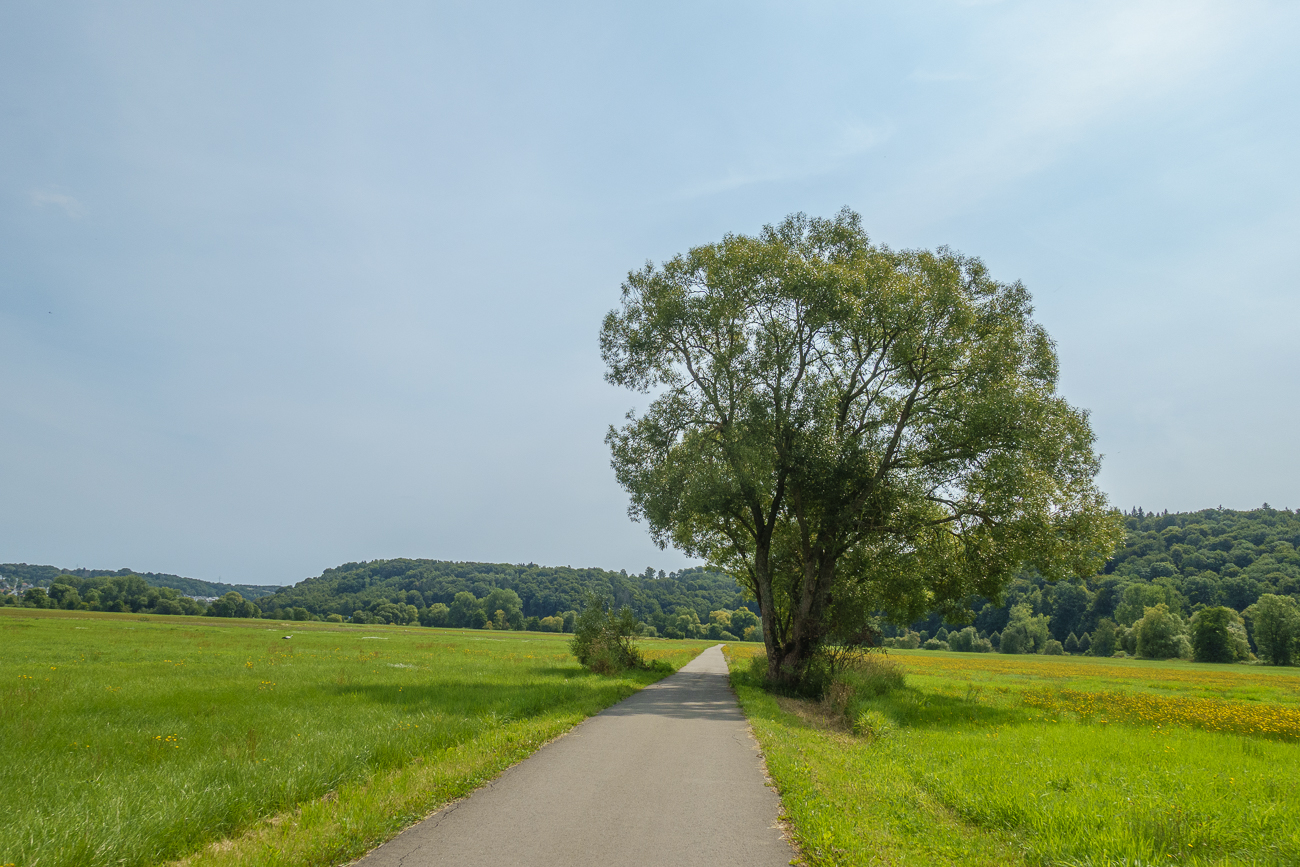 Fahrt durch die Bliesauen