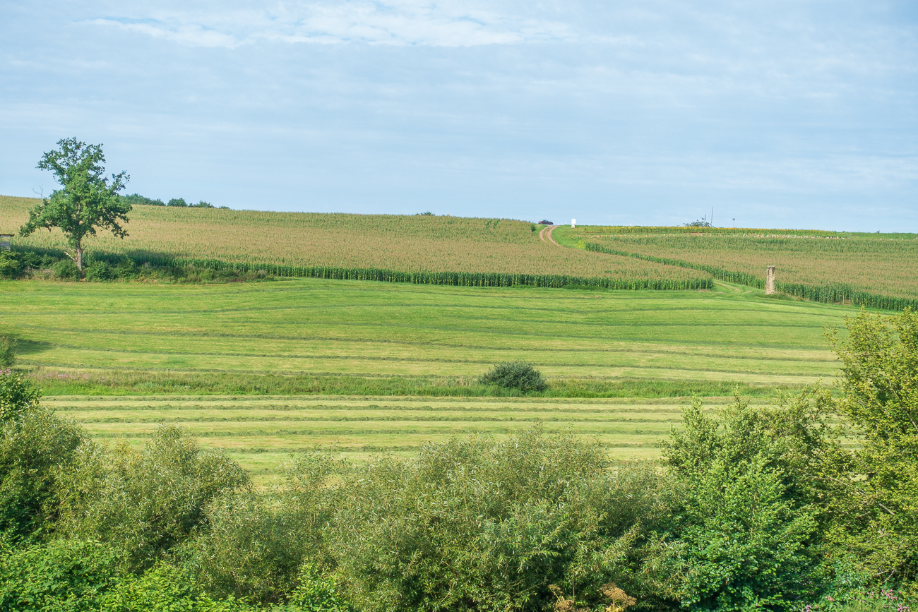 ... und &uuml;ber Felder f&uuml;hrt der Weg