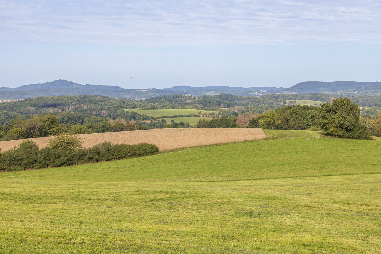 ... in die St. Wendeler Umgebung