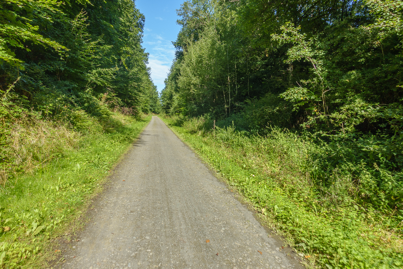 Auf dem Fritz-Wunderlich-Weg ...