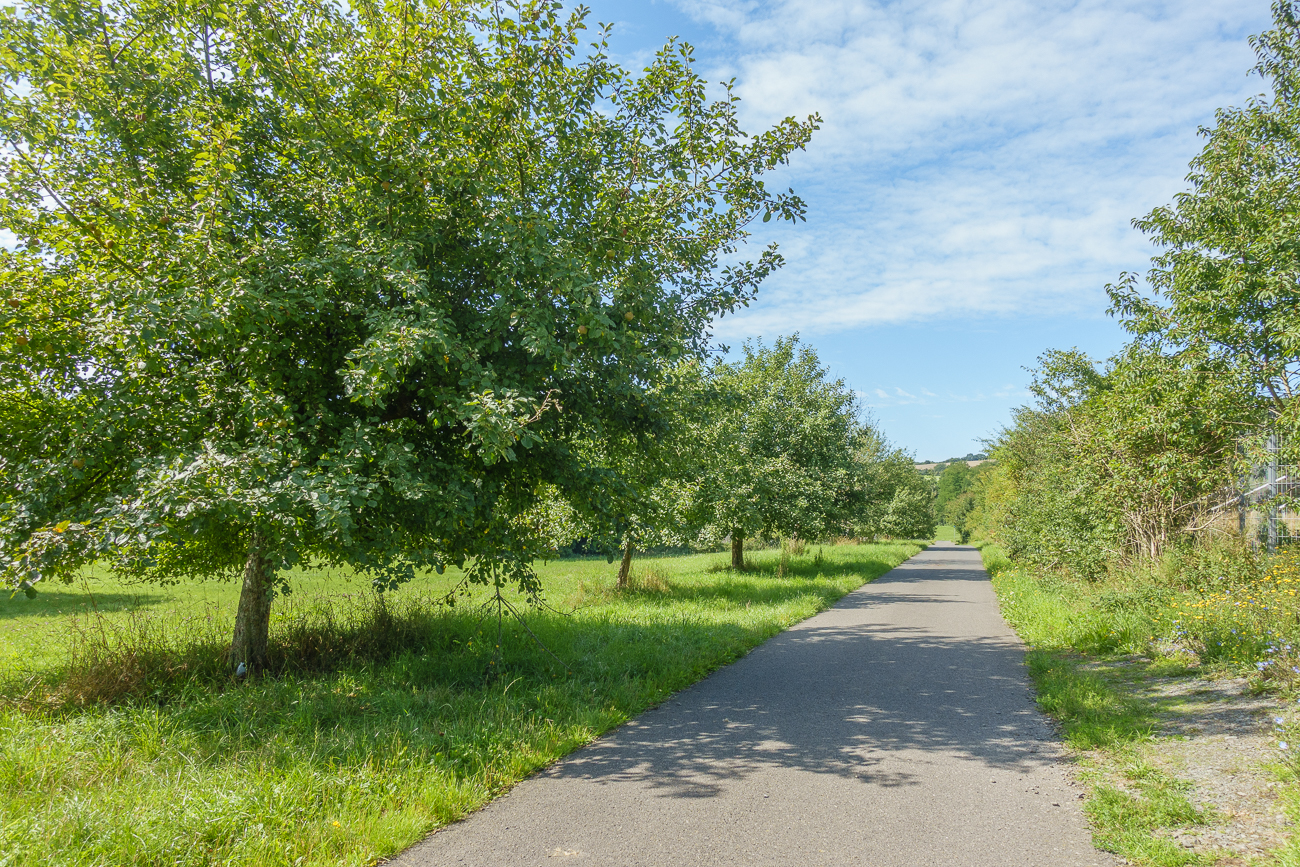 Fahrt durch eine Streuobstwiese