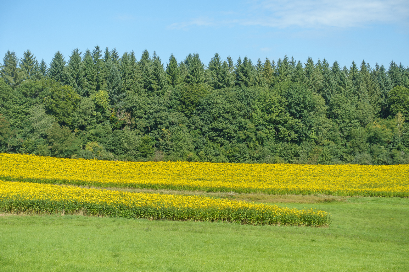 Achtung, Gegenverkehr ;-)
