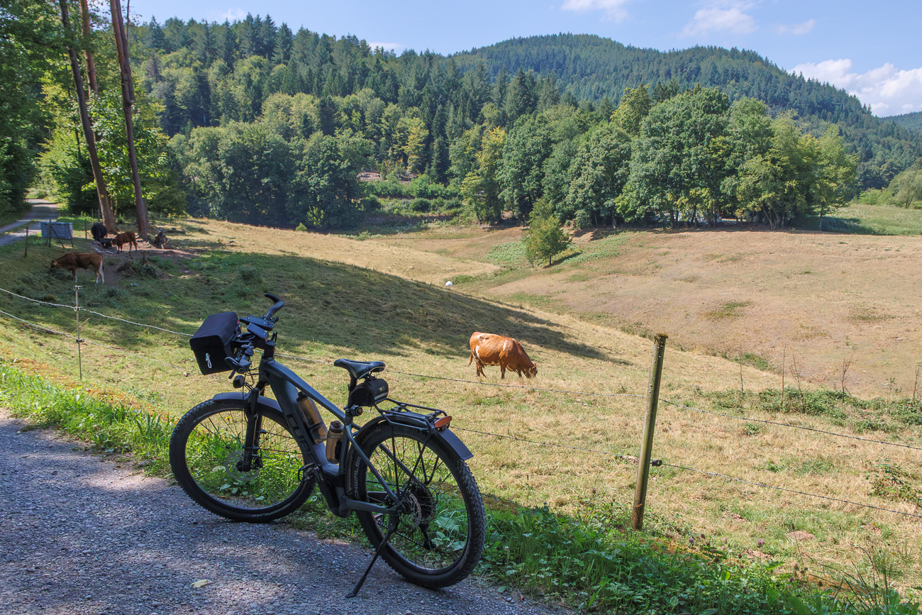 Aufstieg zum Käppele bei Bad Herrenalb