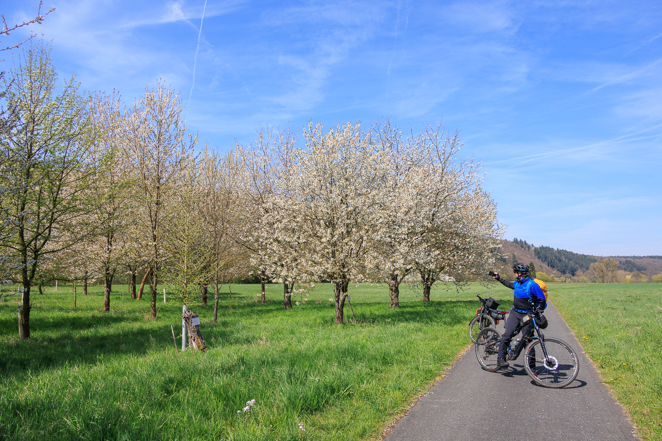 ... sind ein sch&ouml;nes Fotomotiv