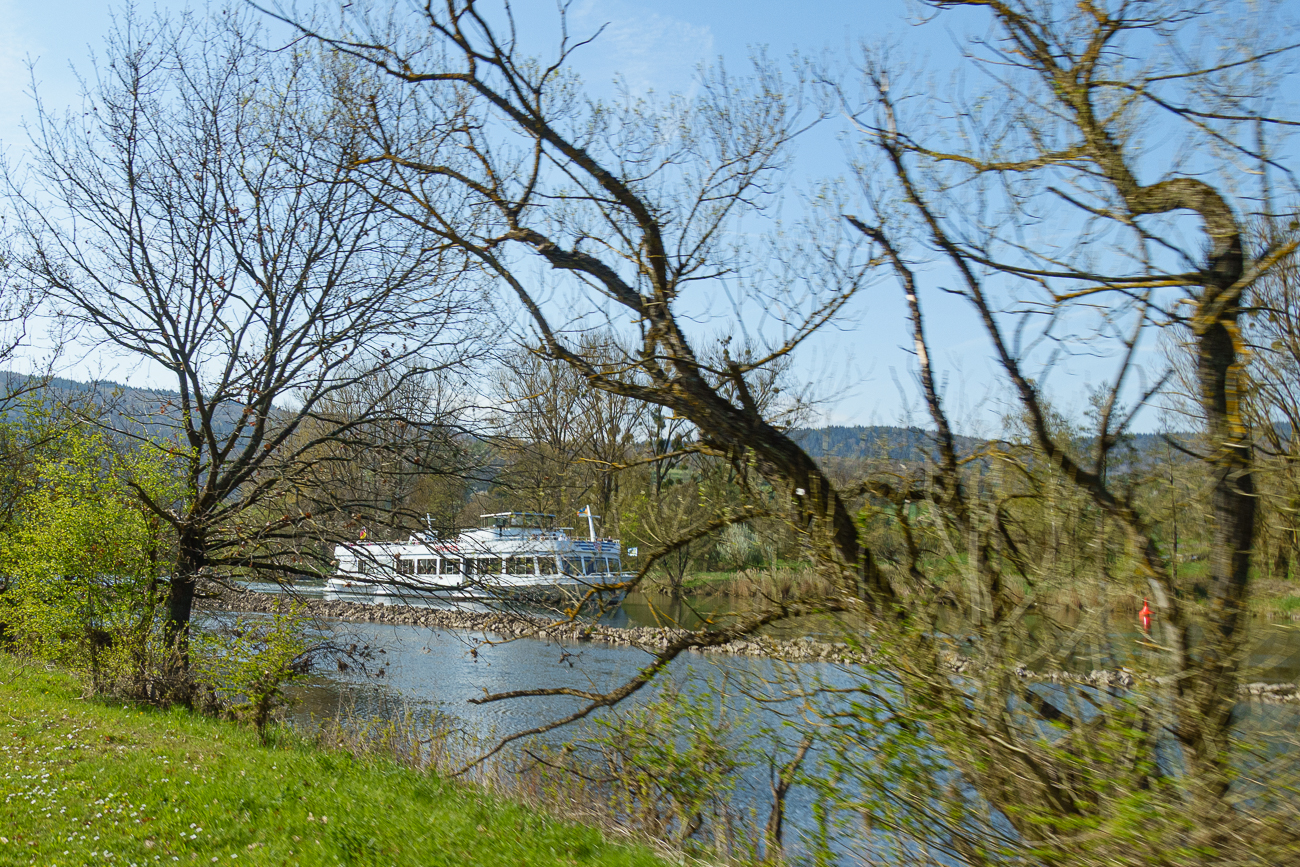 Ausflugsschiff auf dem Main, leider etwas versteckt hinter den B&auml;umen