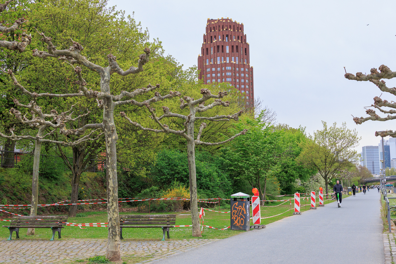 Ein weiterer versteckt sich hinter den B&auml;umen