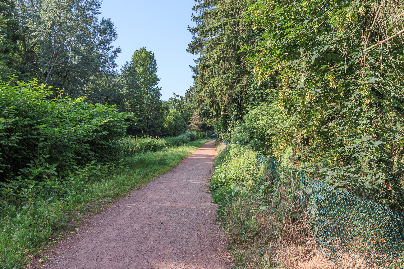 Auf dem Weg zum Einstieg in den M&uuml;hlenradweg an der L465