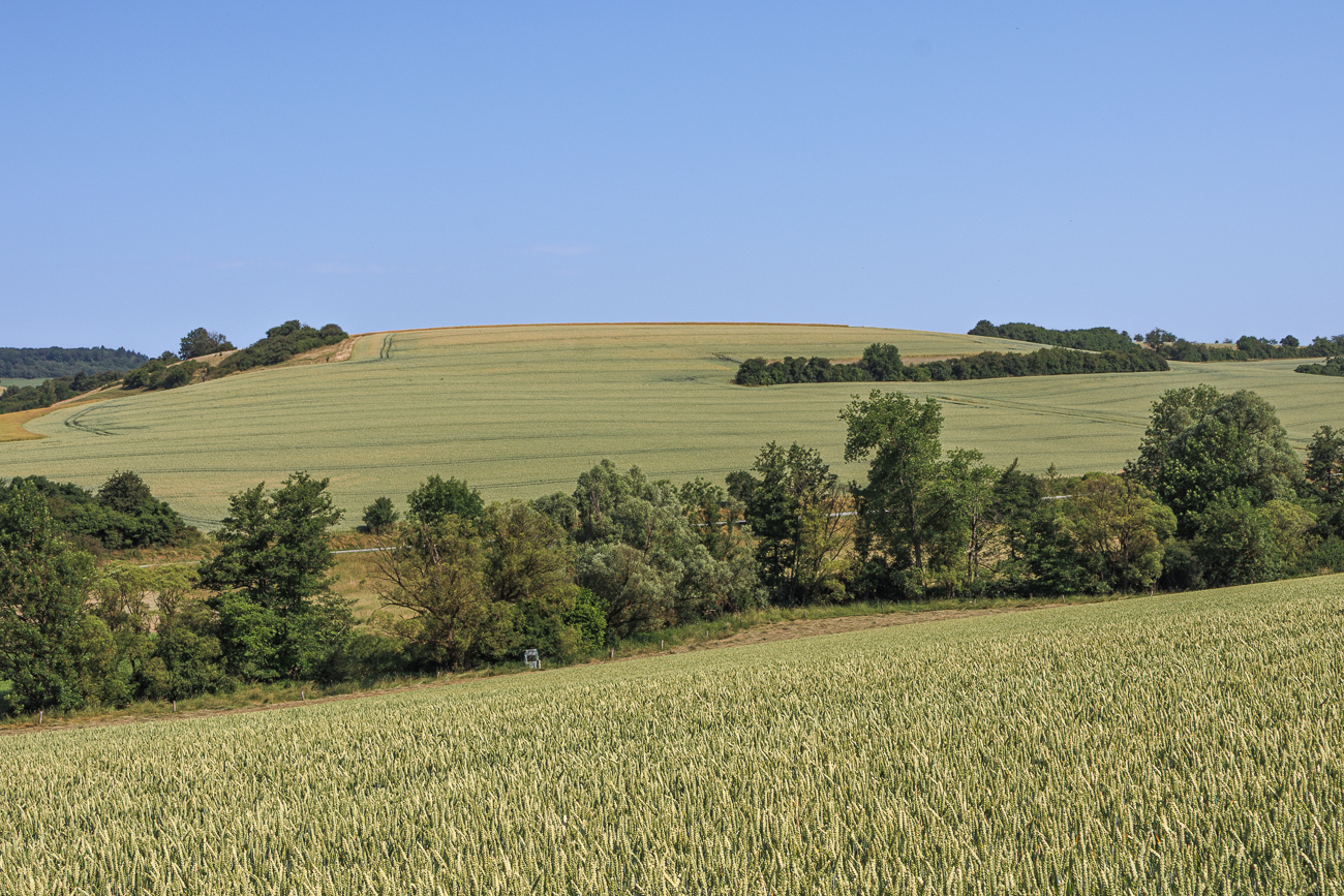 Agrar-Landschaft