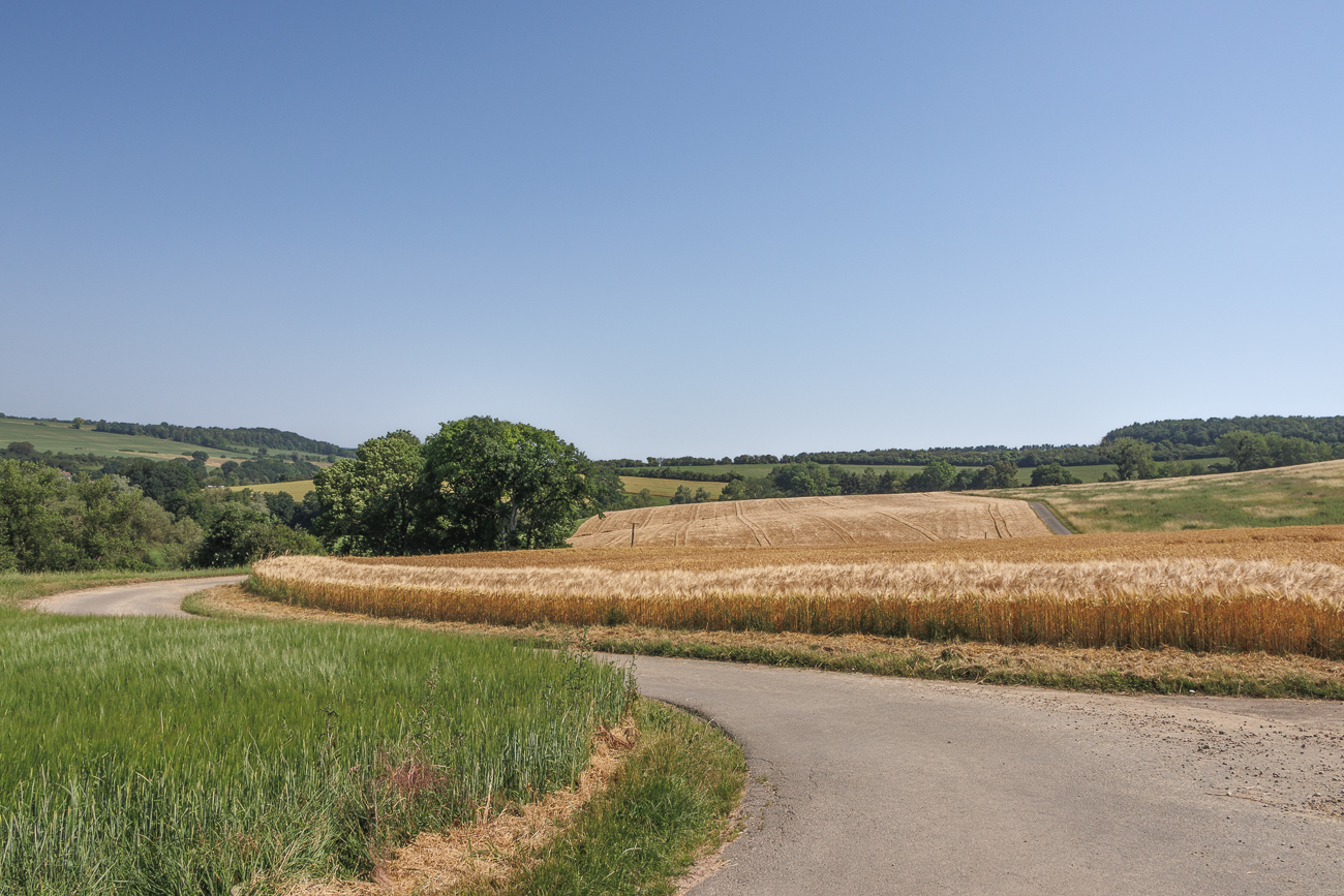 Durch die Felder nach Rheinland-Pfalz zur&uuml;ck