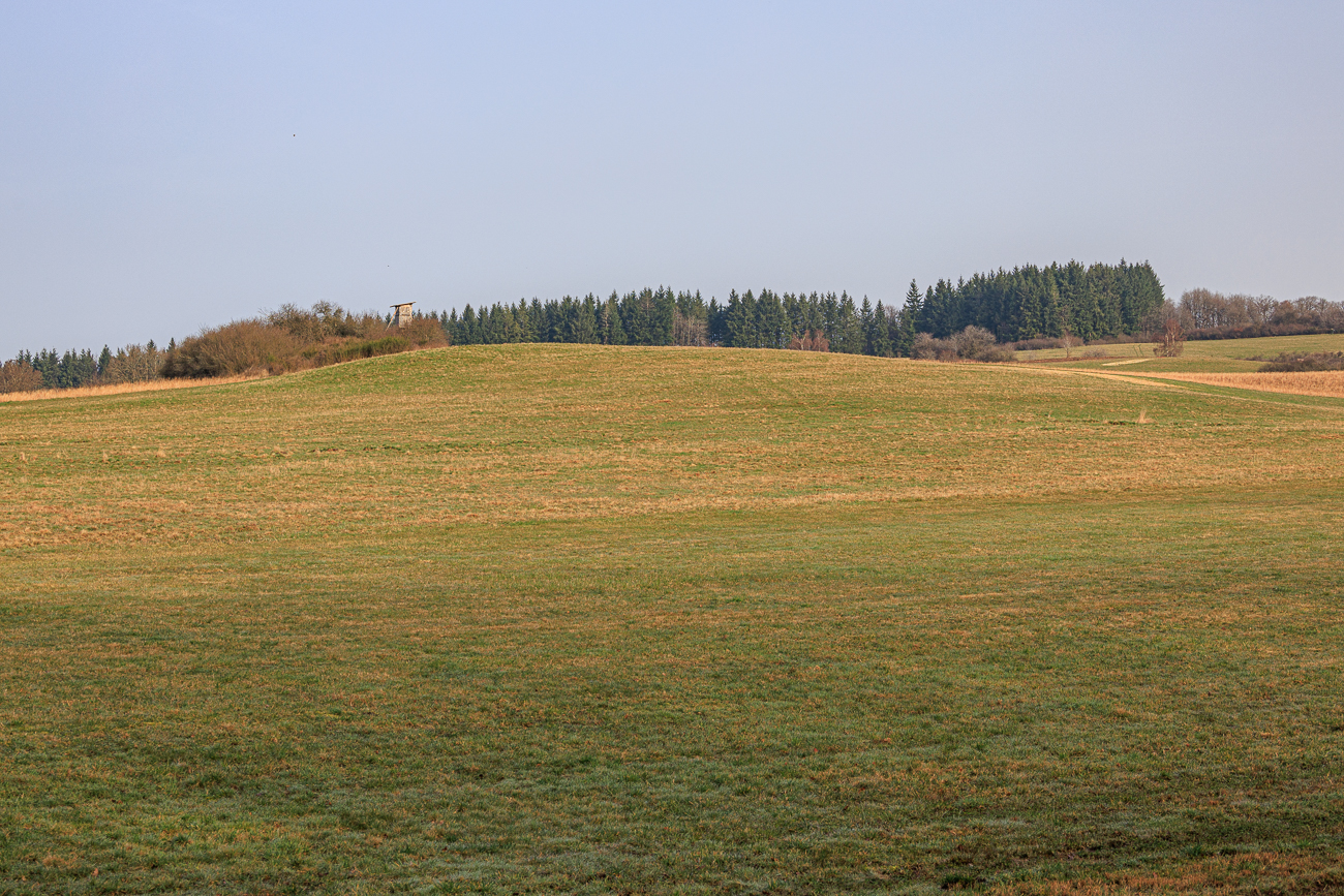 Offene Landschaft bei Richweiler