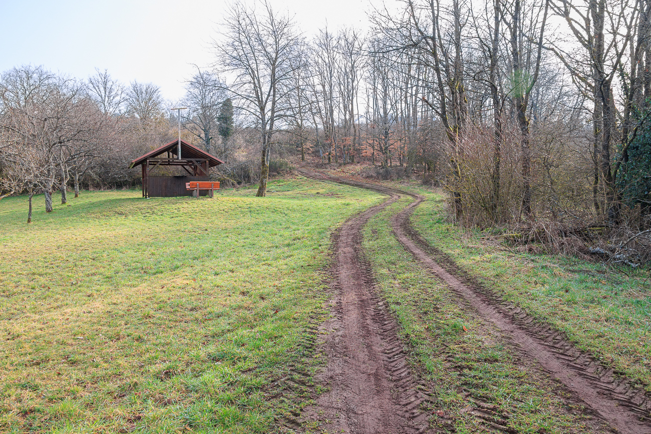 Bin falsch abgebogen, trotz Matsch auf dem Holzweg ;-)