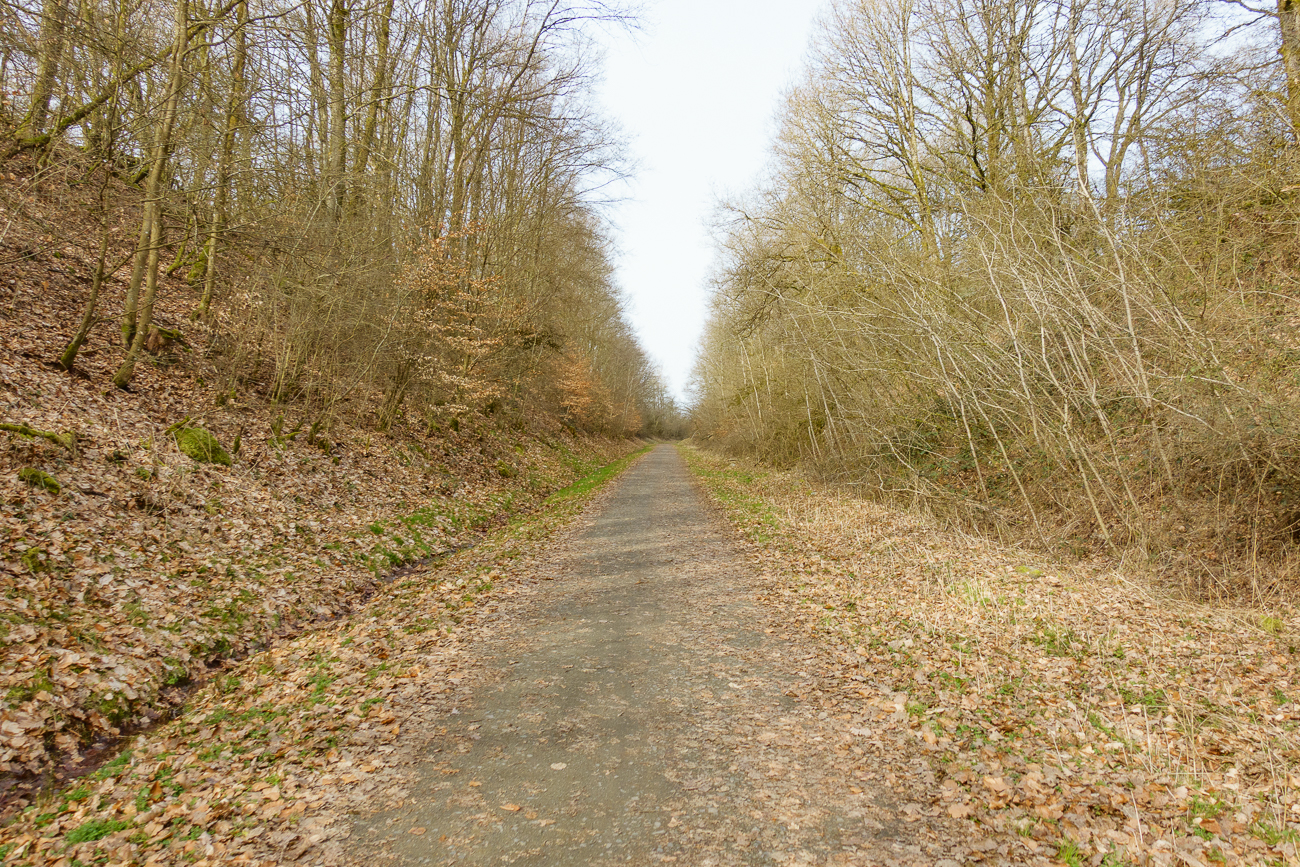 Wieder auf besseren Pfaden ;-)