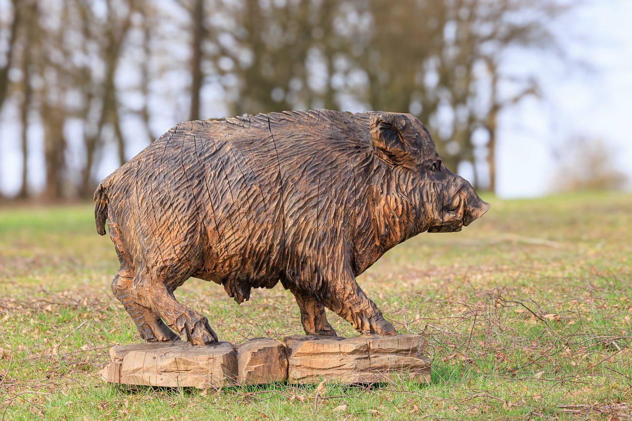 H&ouml;lzernes Wildschwein