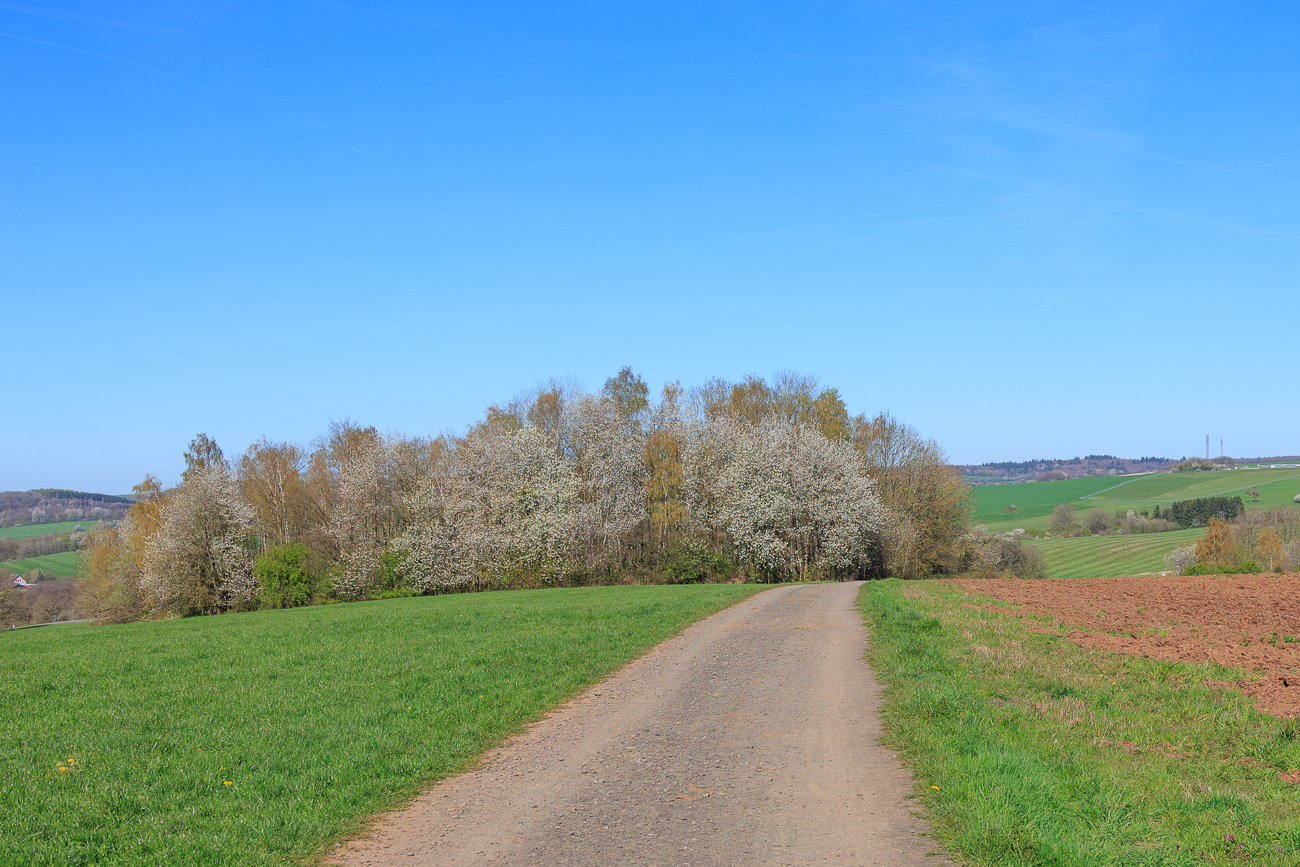 Auf dem Weg nach St. Wendel