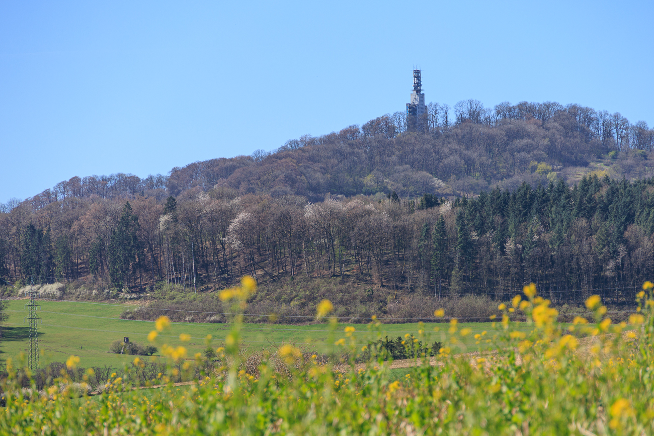 Und nochmal der Schaumbergturm