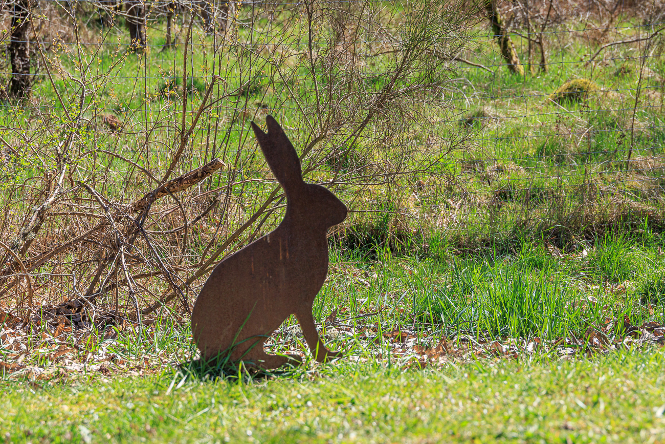 Ein versp&auml;teter Osterhase ;-)