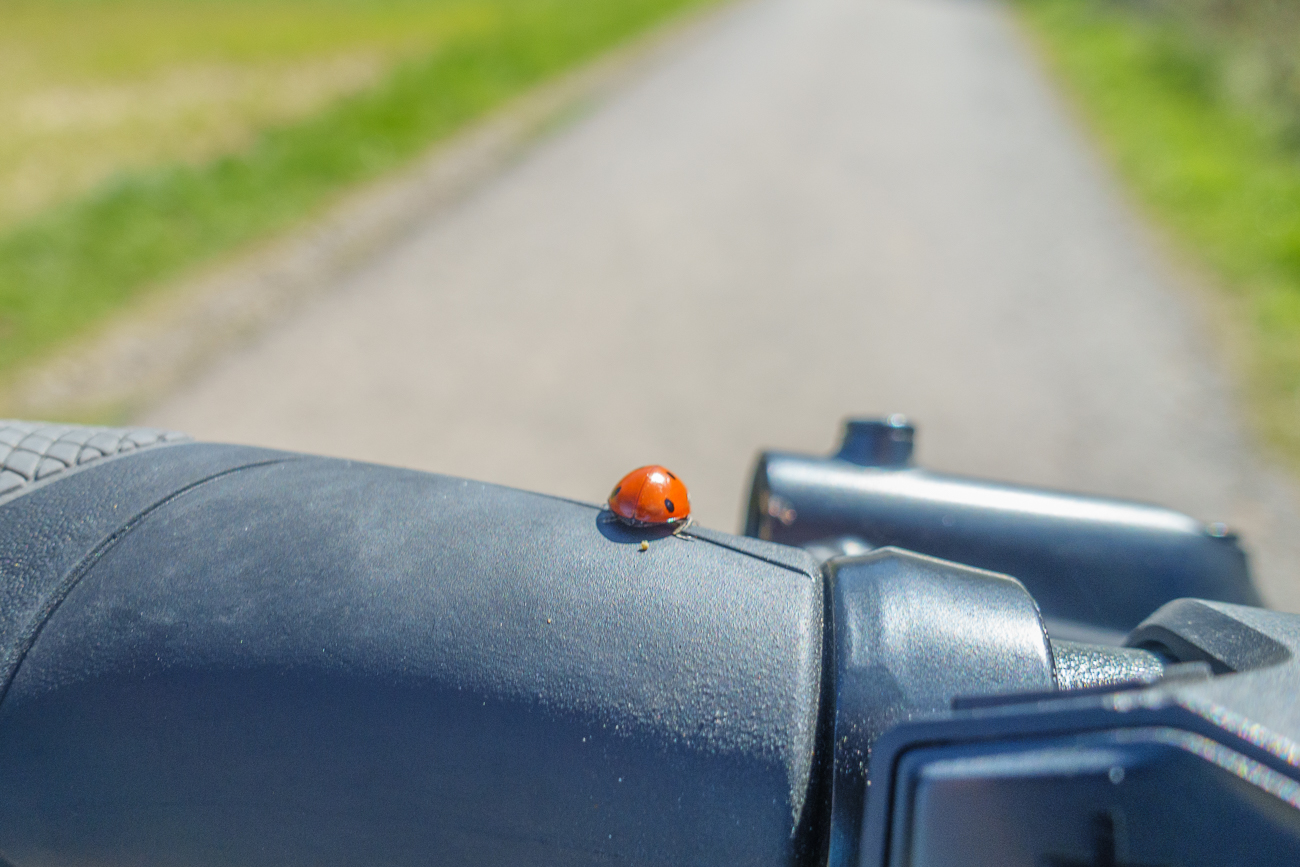 Blinder Passagier, deshalb kam ich nur schwer den Berg hinauf ;-)