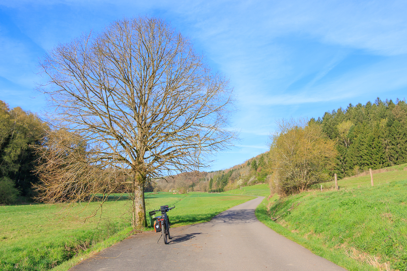 Das Fahrrad verdeckt die Rastbank, aber es war eh zu fr&uuml;h zum Rasten