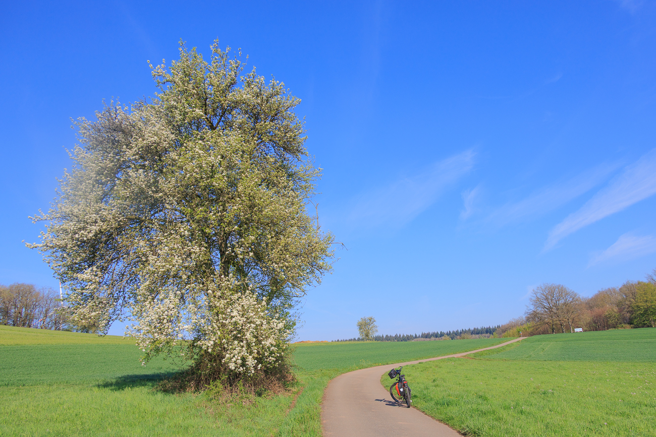 Kurze Rast ...