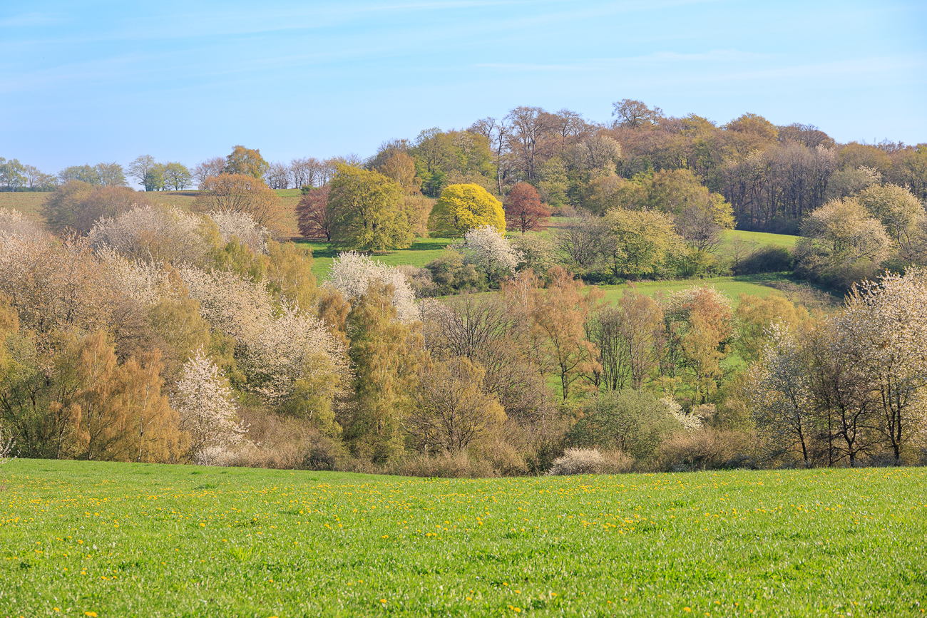Bunte Landschaft