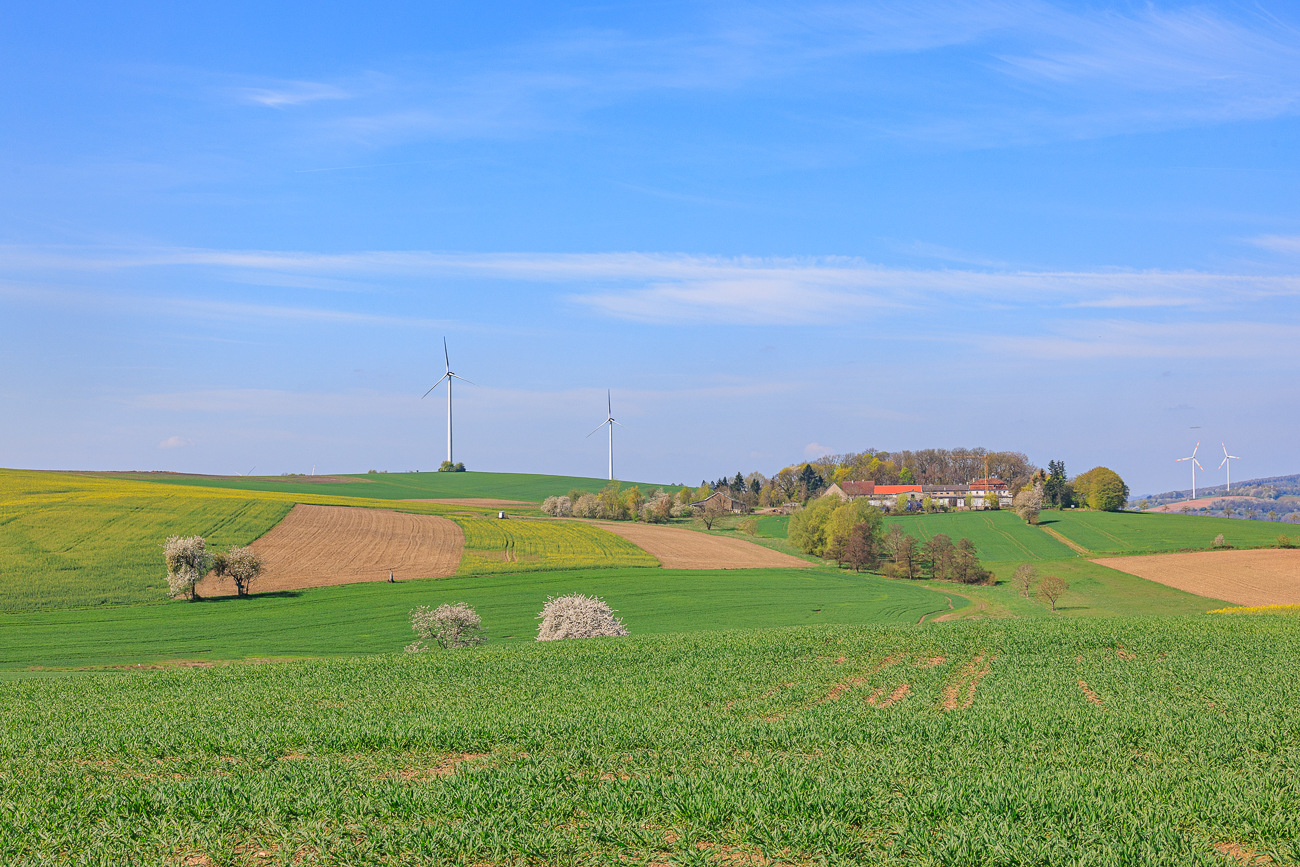 Blick über die Felder