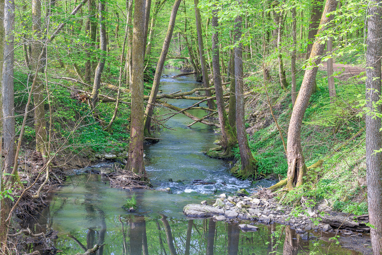 Blick nach rechts von der Brücke auf den Fischbach