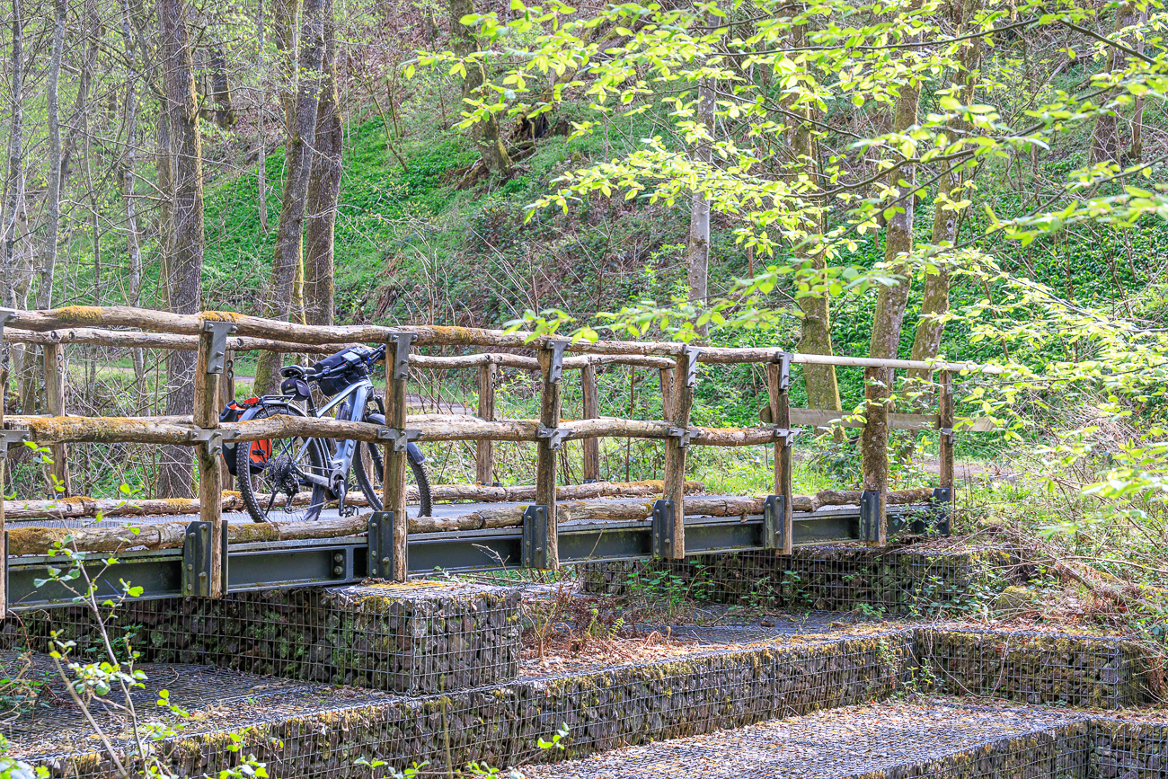 Brücke über den Fischbach