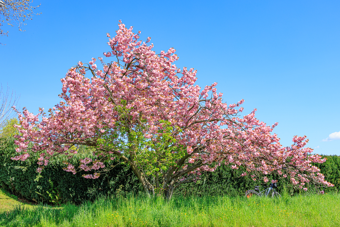 Frühlingsfarben
