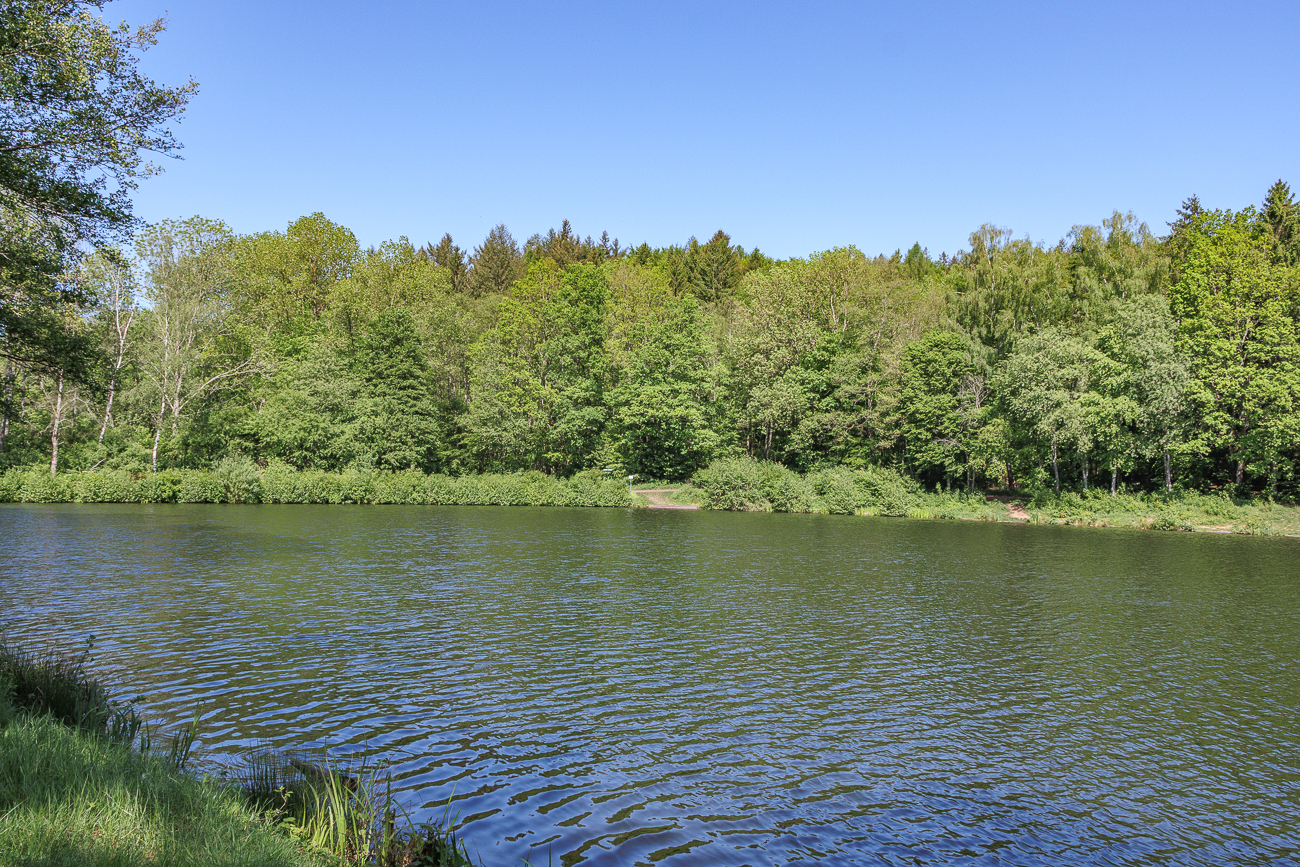 Am Glashütter Weiher