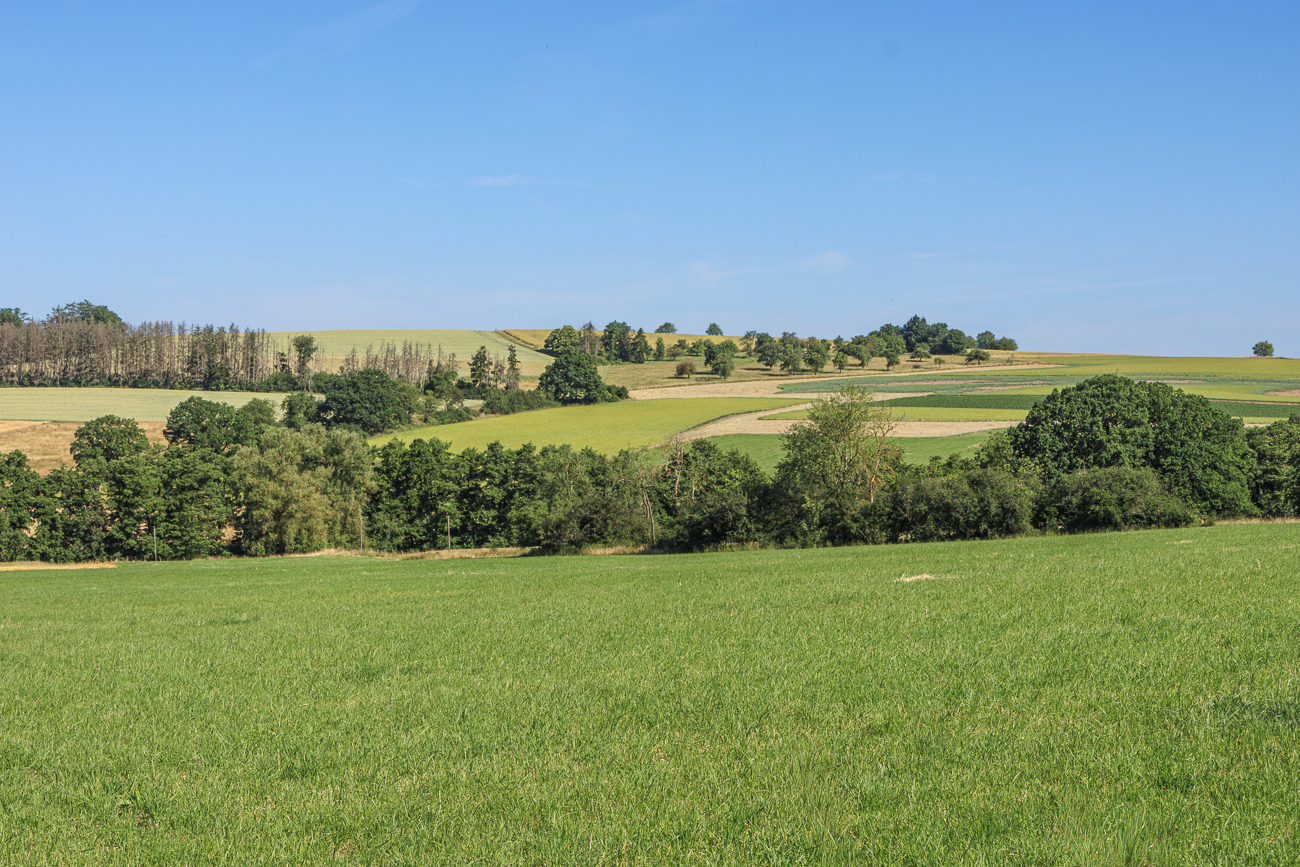 Felder und W&auml;lder
