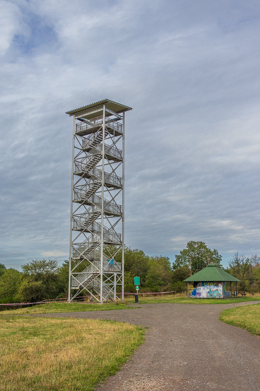 Am Aussichtsturm Betzelhübel